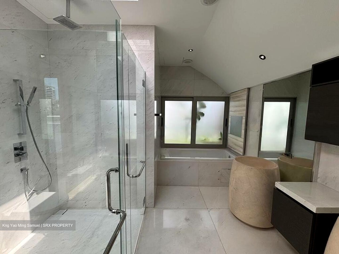 White House Park (D10), Condominium #470441211